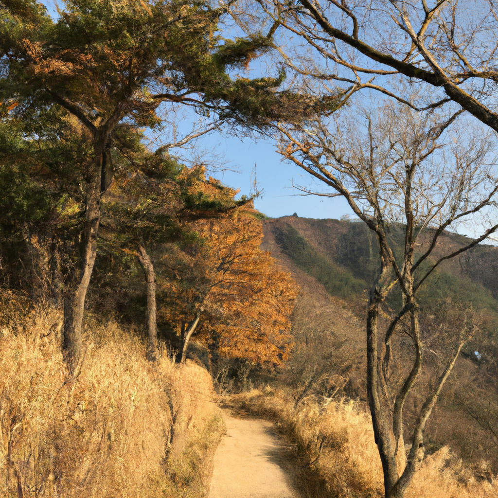 초보자를 위한 필수 팁: 블로깅의 시작과 끝